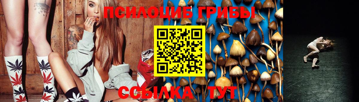 Топки  Галлюциногенные грибы Psilocybe  Вход с VPN 